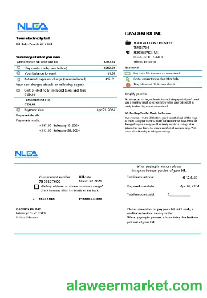 Lithuania National Lithuanian Energy Association business utility bill Word and PDF template